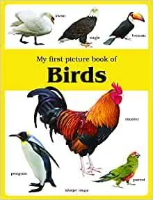 My first picture book of Birds: Picture Books for Children (Paperback)-Wonder House Books - 99BooksStore