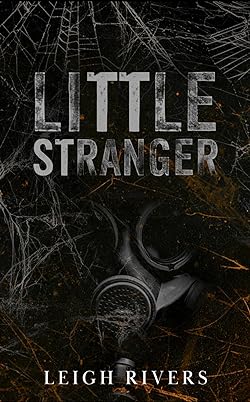 Little Stranger  Paperback by Leigh Rivers (Author)