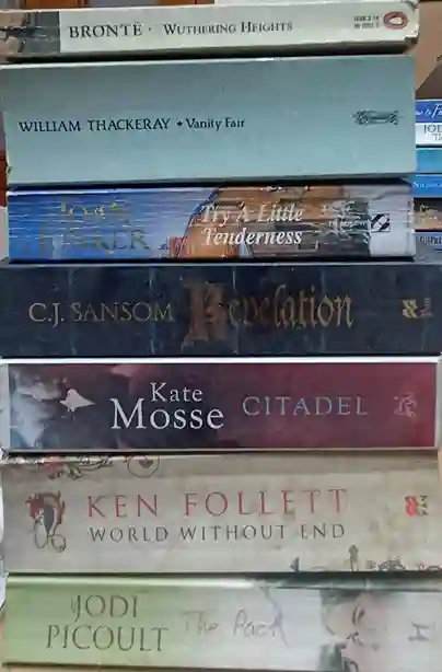 Adult Pre-Loved Books Box- 10 Books (Used-Good) (Box No. 523)
