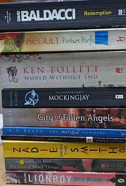 Adult Pre-Loved Books Box- 10 Books (Used-Good) (Box No. 531)