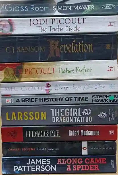 Adult Pre-Loved Books Box- 10 Books (Used-Good) (Box No. 529)