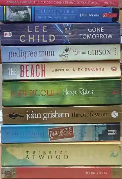 Adult Pre-Loved Books Box- 10 Books (Used-Good) (Box No. 527)
