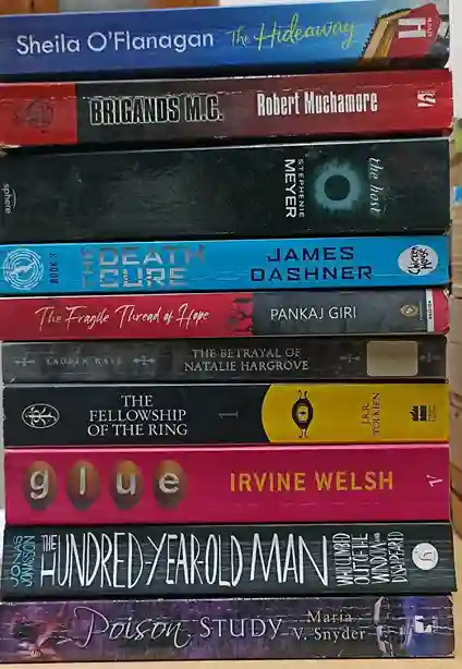 Adult Pre-Loved Books Box- 10 Books (Used-Good) (Box No. 530)