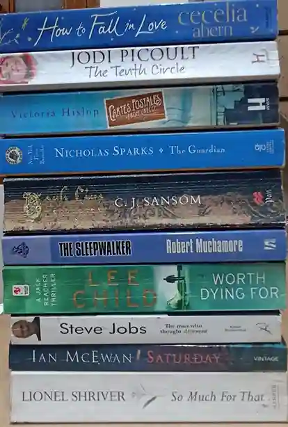 Adult Pre-Loved Books Box- 10 Books (Used-Good) (Box No. 524)